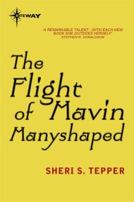 The Flight of Mavin Manyshaped