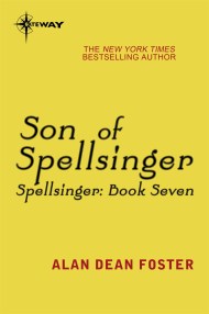 Son of Spellsinger