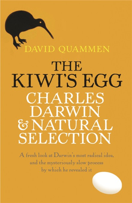 The Kiwi’s Egg