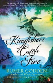 Kingfishers Catch Fire