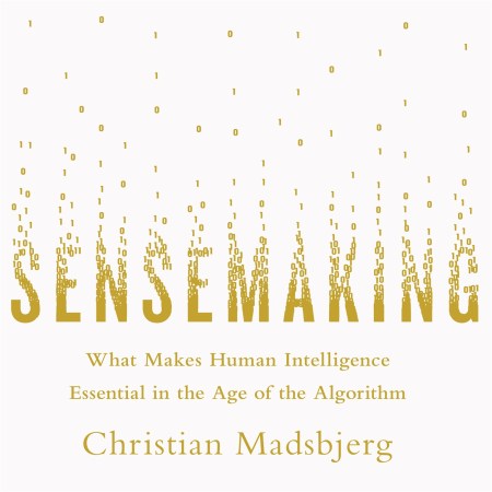 Sensemaking