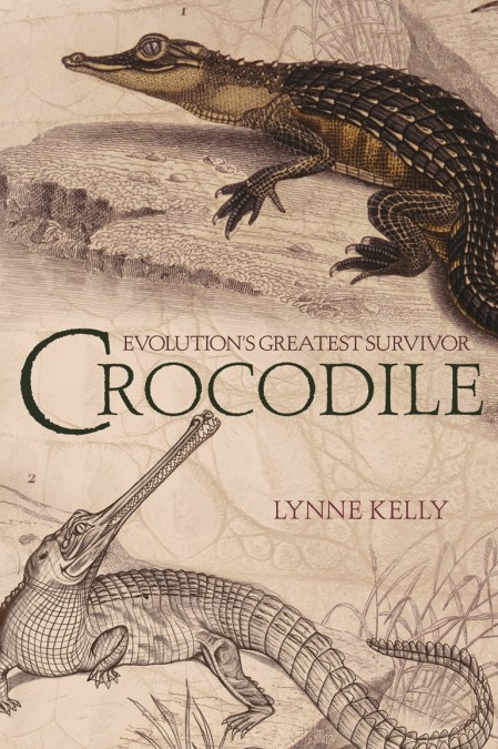 Crocodile