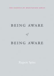 Being Aware of Being Aware