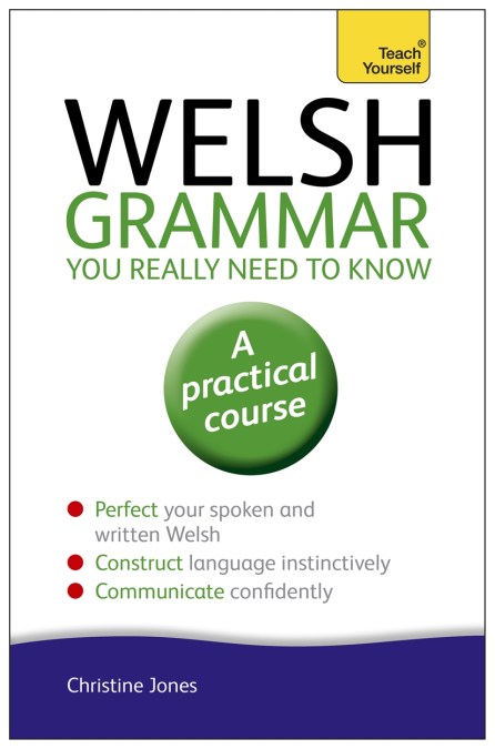 Welsh Grammar You Really Need to Know: Teach Yourself