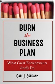 Burn The Business Plan