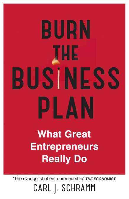 Burn The Business Plan