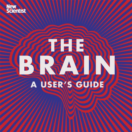 The Brain