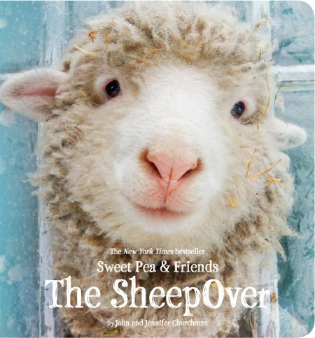 The SheepOver