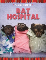 Animal Rescue: Bat Hospital