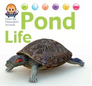 Nora the Naturalist's Animals: Pond Life