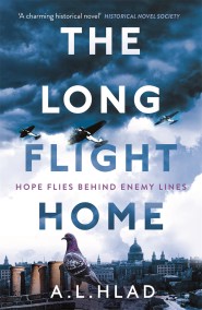 The Long Flight Home