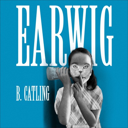 Earwig