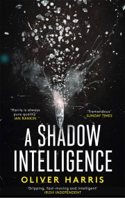 A Shadow Intelligence