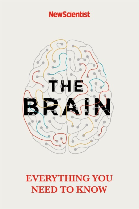 The Brain