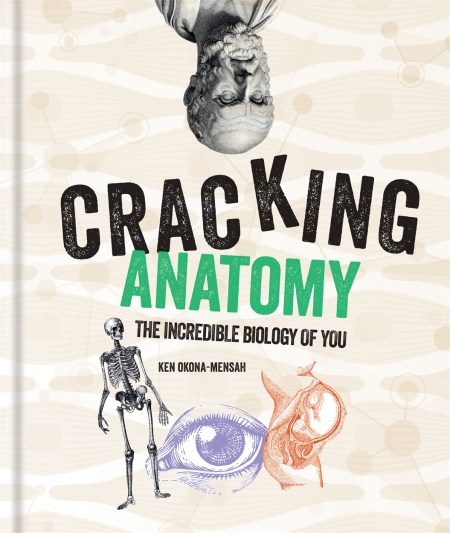 Cracking Anatomy