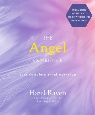 The Angel Experience