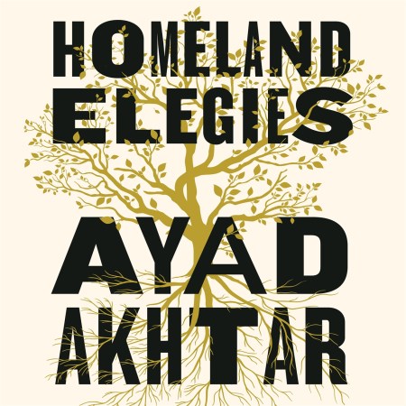 Homeland Elegies