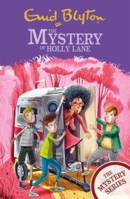 The Find-Outers: The Mystery Series: The Mystery of Holly Lane