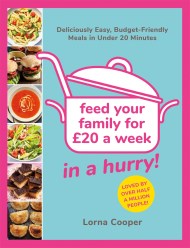 Feed Your Family For £20…In A Hurry!