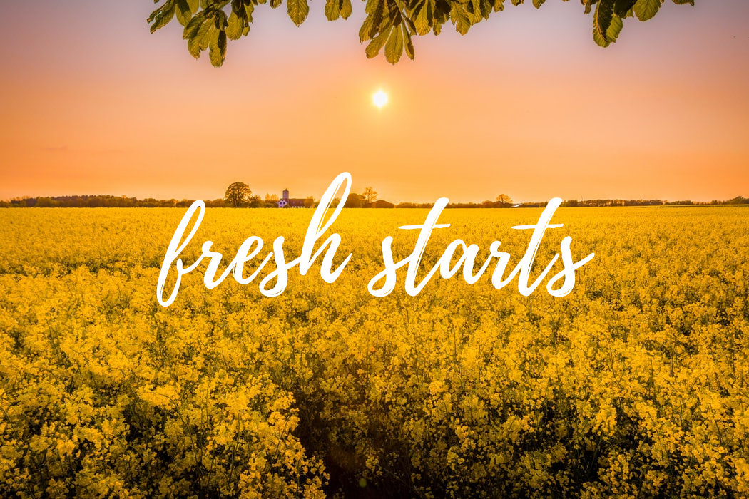 Books To Help You Find A Fresh Start This Spring Hachette Uk