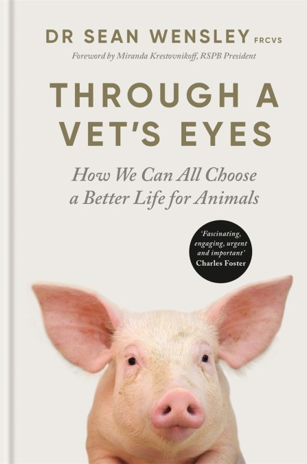 Through A Vet’s Eyes