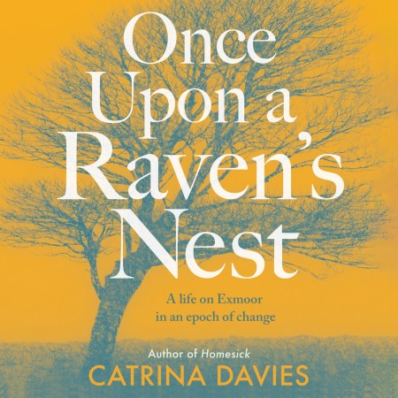 Once Upon a Raven's Nest