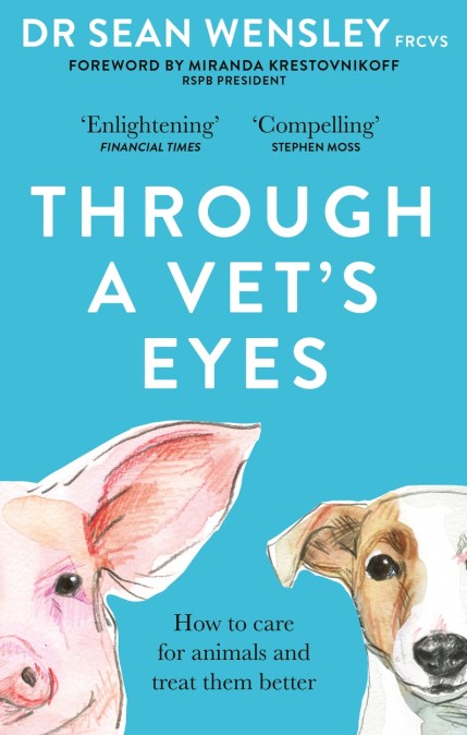 Through A Vet’s Eyes