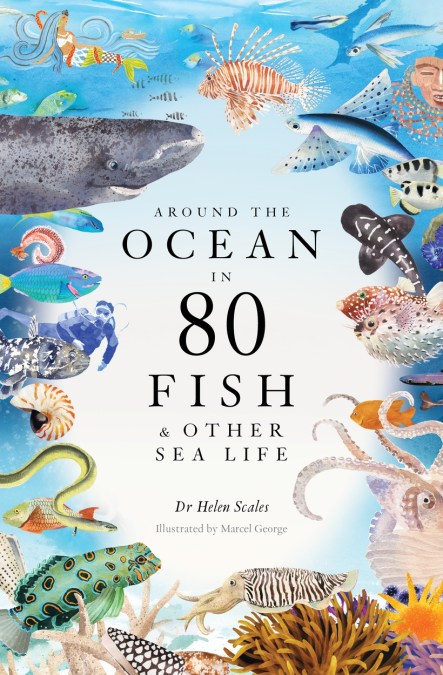 Around the Ocean in 80 Fish and other Sea Life