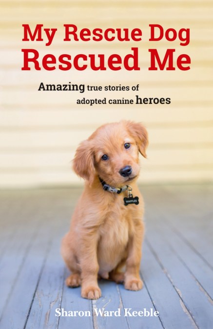 My Rescue Dog Rescued Me