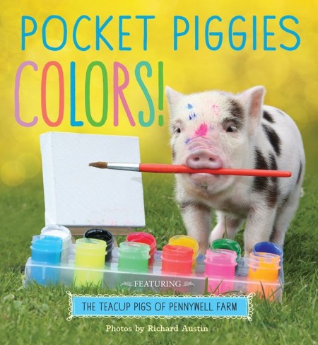 Pocket Piggies Colors!