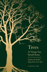 Trees - 10 Things You Should Know