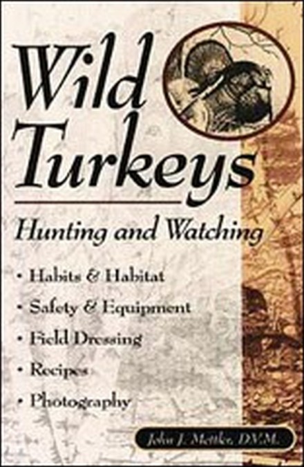 Wild Turkeys