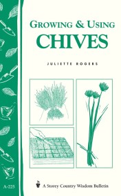 Growing & Using Chives