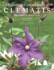 An Illustrated Encyclopedia of Clematis