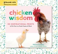 Chicken Wisdom Frame-Ups