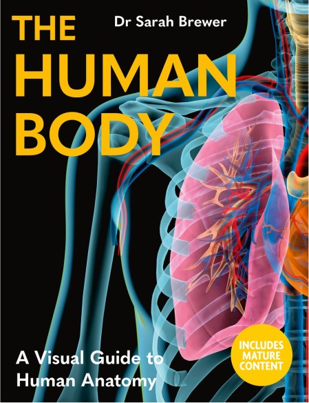 The Human Body