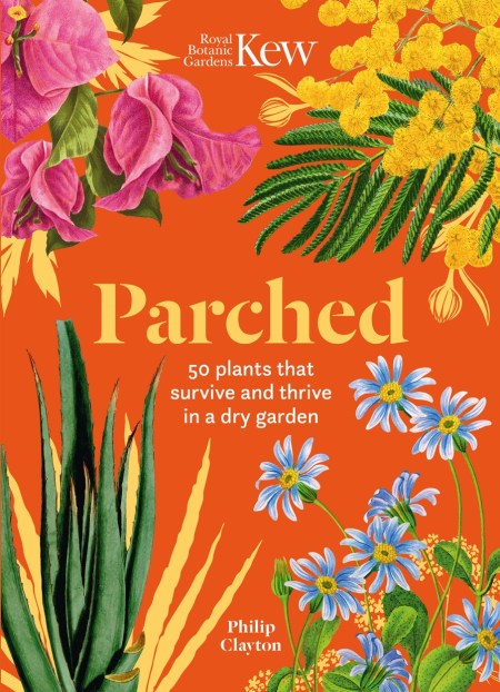 Kew – Parched