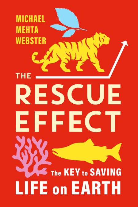 The Rescue Effect