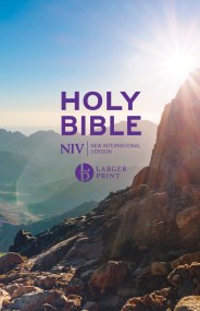 NIV Larger Print Personal Value Hardback Bible