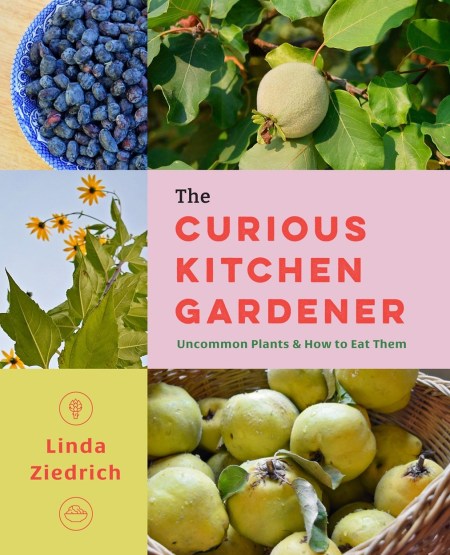 The Curious Kitchen Gardener