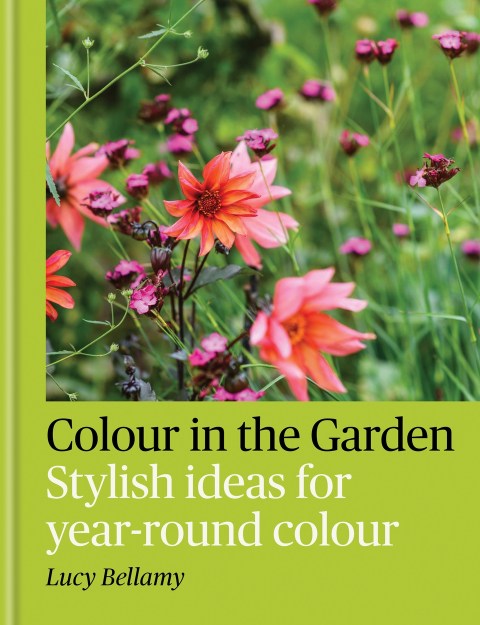 Colour in the Garden